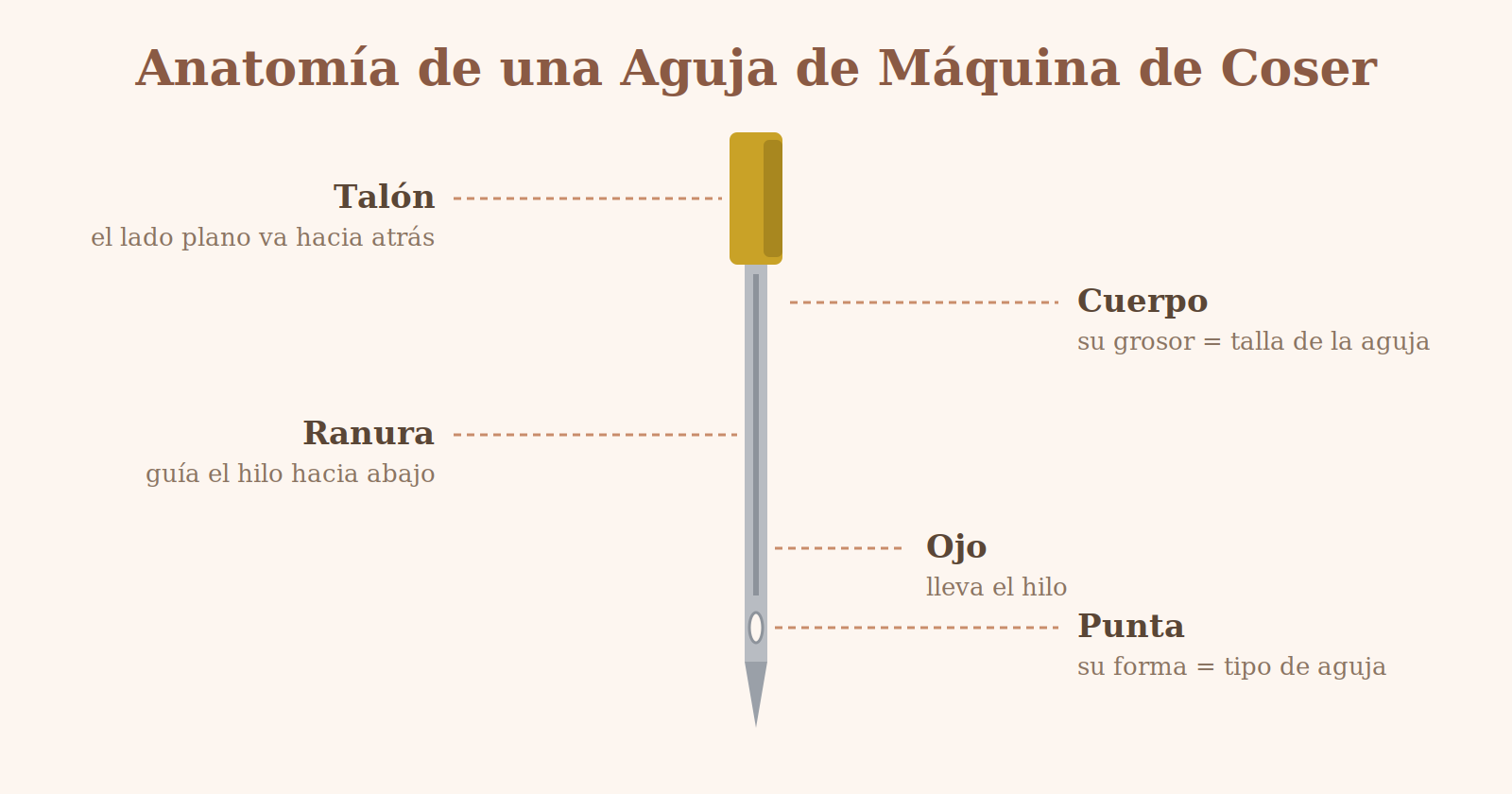 Diagrama de la anatomía de una aguja de máquina de coser: talón, cuerpo, ranura, ojo y punta