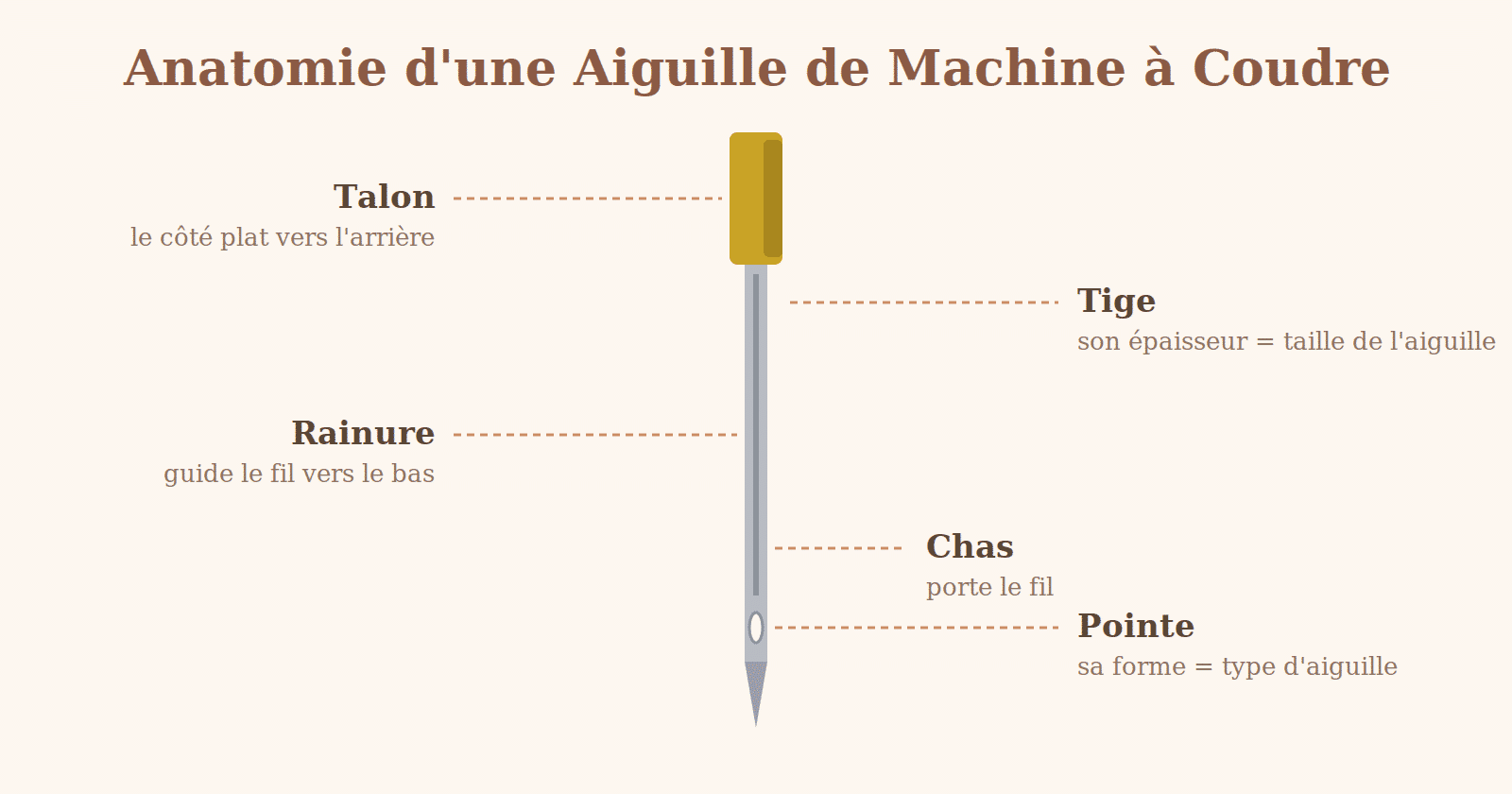 Schéma de l'anatomie d'une aiguille de machine à coudre : talon, tige, rainure, chas et pointe
