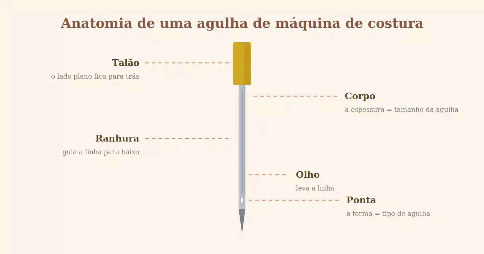 Esquema com a anatomia de uma agulha de máquina de costura: talão, corpo, ranhura, olho e ponta