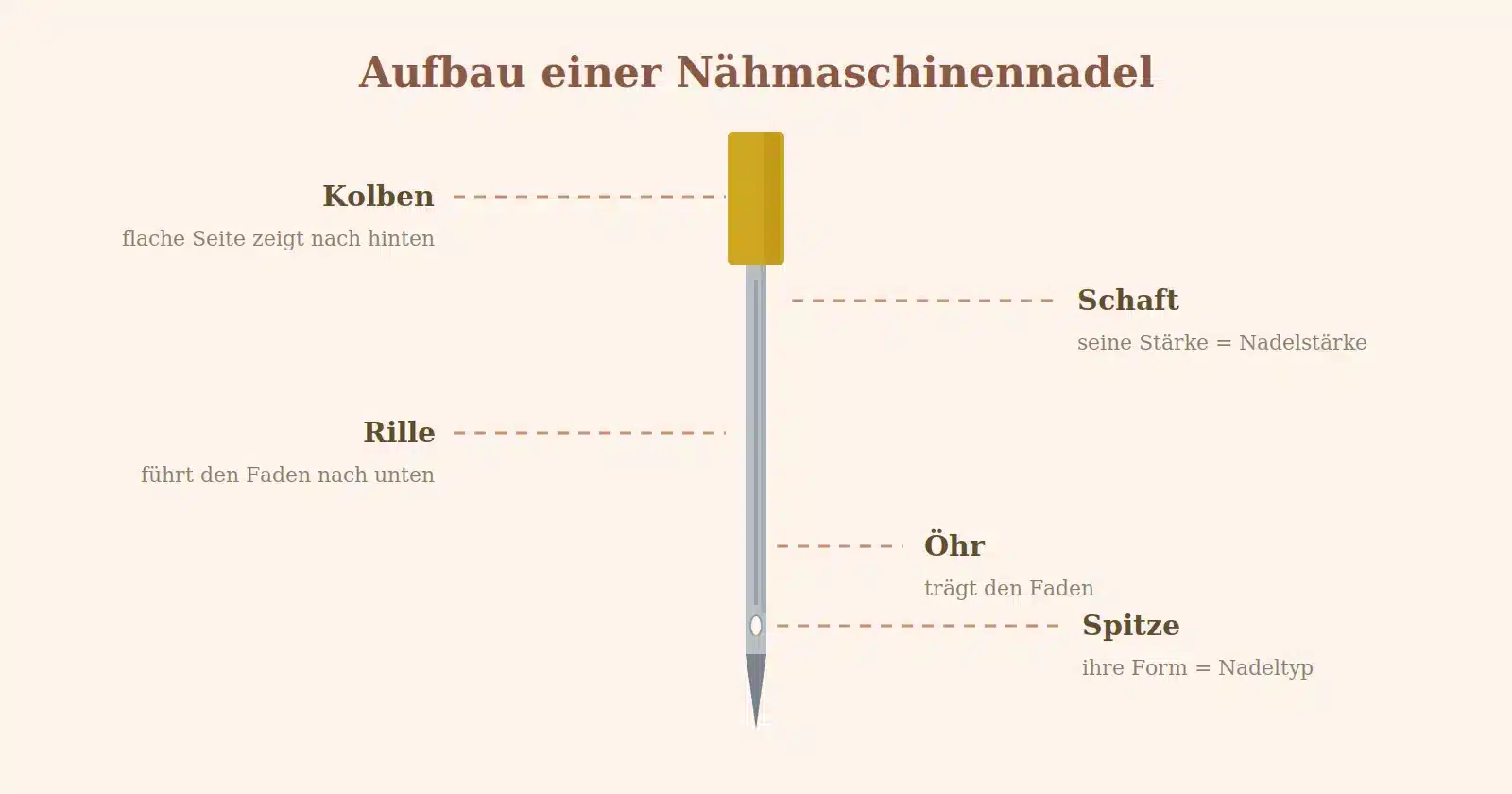 Schaubild zum Aufbau einer Nähmaschinennadel: Kolben, Schaft, Rille, Öhr und Spitze