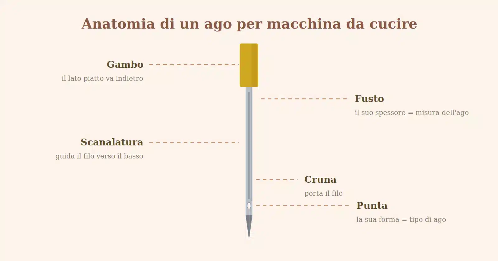 Schema con l'anatomia di un ago per macchina da cucire: gambo, fusto, scanalatura, cruna e punta