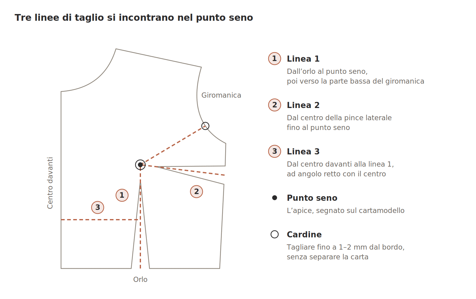Adattamento per seno abbondante (FBA): le tre linee di taglio tracciate sul davanti del cartamodello